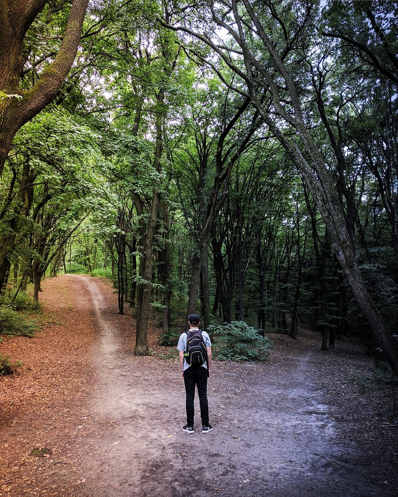 man lost in woods